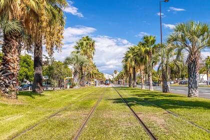 Winter Immobilier - Appartamento - Nice - Californie / Ferber / Carras - Nice - 2301421634a4cd94e49f4d46a6c9eee4_552b38286c_1920