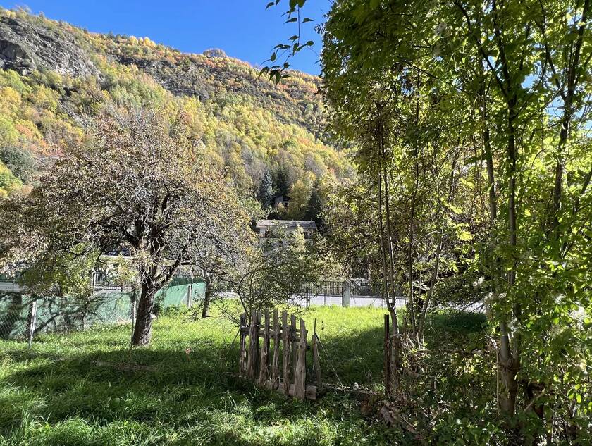 Winter Immobilier - квартира - Saint-Étienne-de-Tinée - 5a90128e59141dab87f351d83bf3fd38_eae55e334c_1920