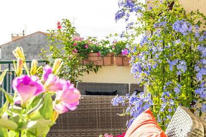 Winter Immobilier - Appartamento  - Nice - Fleurs Gambetta - Nice - 612407619635bf470c36203.43085724_1920.webp-original