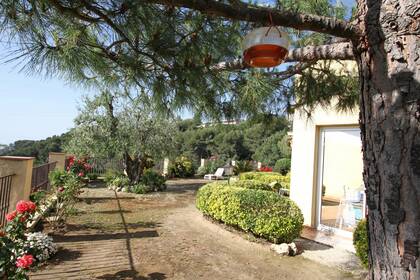 Winter Immobilier - Дом / Вилла - Nice - Saint Pierre de Feric - Nice - 4c7e3409ef98869d0c2a7c9edfb71662_4ecacca69d_1920-original