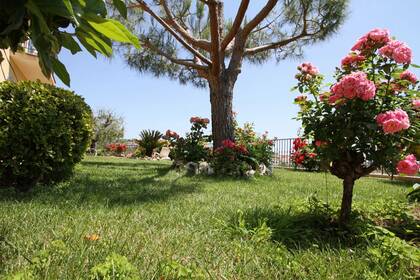 Winter Immobilier - Дом / Вилла - Nice - Saint Pierre de Feric - Nice - 1ab116592bd8d0f3f5b3db69d08e9069_7a3810e3f6_1920-original