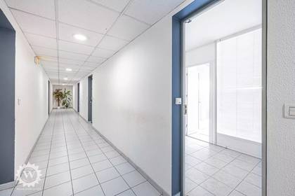 Winter Immobilier - Offices - Nice - 154272865564f332adcea635.34822627_27d8ac0f00_1920.webp-original