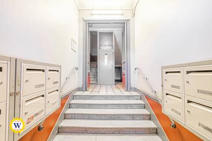 Winter Immobilier - Appartement - Nice - Fleurs Gambetta - Nice - 636769214668409fbecb6b8.83811083_1920.webp-original