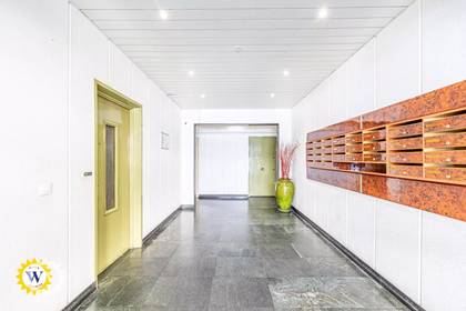 Winter Immobilier - Appartement - Nice - Fleurs Gambetta - Nice - 1858044472663b51b5e24a64.94467863_beaf9ec6d2_1920.webp-original