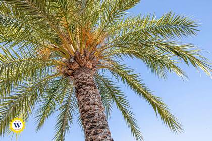 Winter Immobilier - Appartement - Nice - d6851268e5f81d9f65770b8ee34d284e_e75f638f51_1920