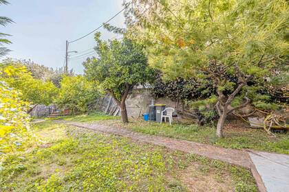 Winter Immobilier - House / Villa - Nice - Fabron - Nice - 4204280a84bc07d18d524610a042b8b8_18aa4f44e2_1920-original