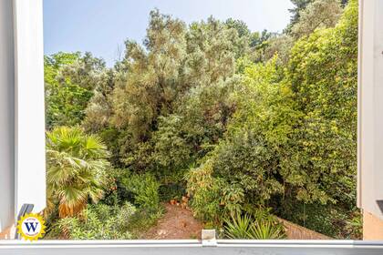 Winter Immobilier - Appartement - Nice - Californie / Ferber / Carras - Nice - 80b21d228c7b28ad511bcca4feb9ee1d_d87e5243bd_1920-original