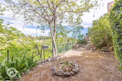 Winter Immobilier - Appartamento  - Nice - Estienne d’Orves / Parc Imperial / Pessicart - Nice - 187977797767138a29942684.61455248_864c6f39a4_1920.webp-original