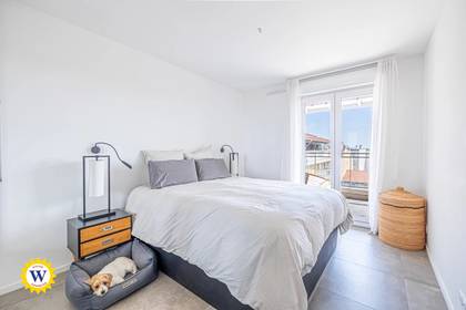 Winter Immobilier - квартира - Nice - Magnan - Nice - ccc9cf49aa64d86f9a35af52493c49b0_f4c196e7ea_1920