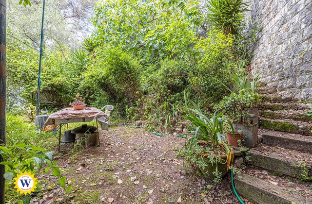 Winter Immobilier - House / Villa - Nice - Madeleine / Bornala - Nice - 1e2f9a1be0ec4cf524618fbf91274bed_006396ea14_1920