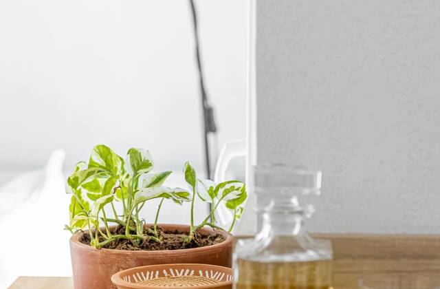 Winter Immobilier - Apartment - Nice - Madeleine / Bornala - Nice - 006ce45d5f02026c280989d942946266_5d2fe84328_1920