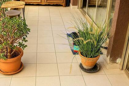 Winter Immobilier - квартира - Nice - Estienne d’Orves / Parc Imperial / Pessicart - Nice - 60454b0965bc5f55d48fc8973c8d8d6e_f21c587d3e_1536
