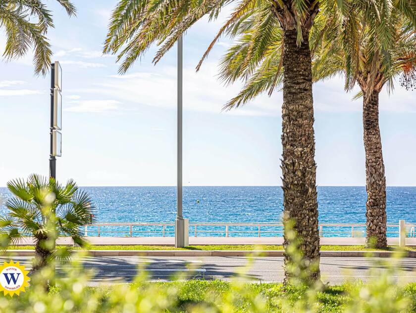 Winter Immobilier - Appartamento  - Nice - 15efb207935ed06b78cac79e0e7269d2_b918d3f775_1920
