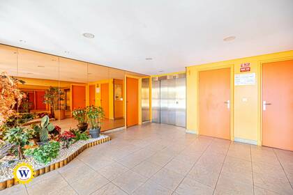 Winter Immobilier - Appartement - Nice - Baumettes - Nice - 837db5e226edf48afb8e1724440fec8d_223ccd9209_1920