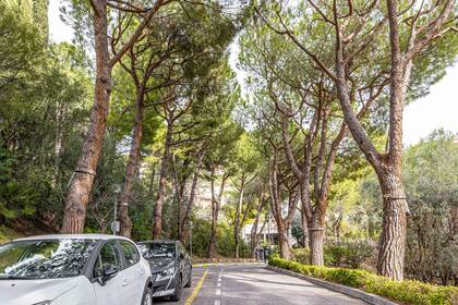 Winter Immobilier - Appartement - Nice - Fabron - Nice - 0808723bd3dae7d47dbc2d65a86603b6_a16b672802_1920