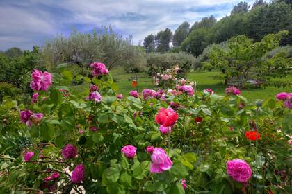 Winter Immobilier - Maison - Salernes - 3d9b8a5bf92b204366692293c6daf673_f2139a06d7_1920