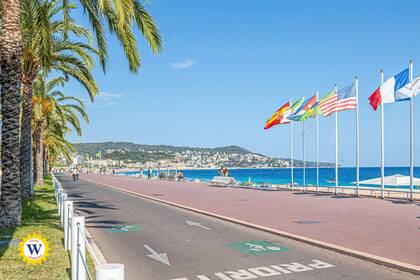 Winter Immobilier - Appartement - Nice - Baumettes - Nice - 4910fd425bb0db29d0982ab2ce3e610a_5651480be4_1920