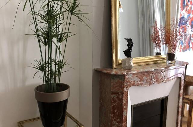 Winter Immobilier - квартира - Nice - Fleurs Gambetta - Nice - 3256492895cc5db9826b266.90427362_1920.webp-original
