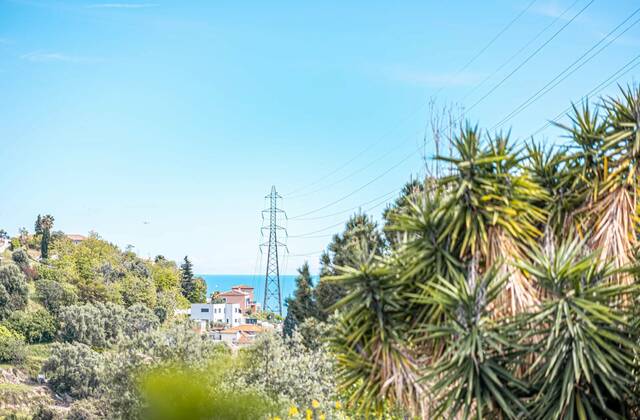 Winter Immobilier - Appartement - Nice - Estienne d’Orves / Parc Imperial / Pessicart - Nice - 6ce7ff64f681d1f80fcdaae0913ea8fc_a77403e5ce_1920