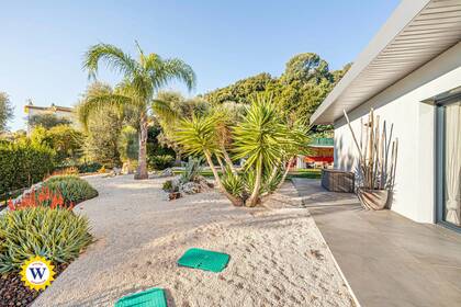 Winter Immobilier - Maison - Biot - fe5409adbe431345e66a11cc0ccda73a_5fd23484db_1920