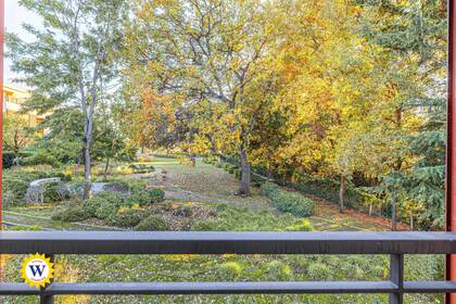 Winter Immobilier - Appartement - Nice - Fabron - Nice - a38d466b9e62346e5e53869367d1ba7b_930835f173_1920