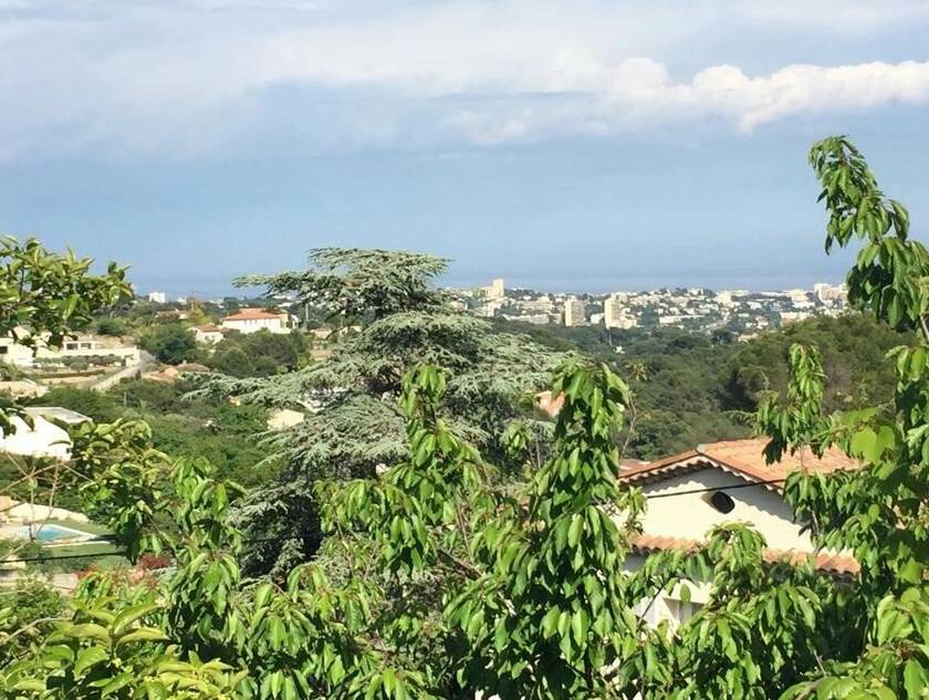 Winter Immobilier - Casa/ Villa - Vallauris - 6a9a157a3e4b6bb49f334e345b15c585_eefc207b8a_1024