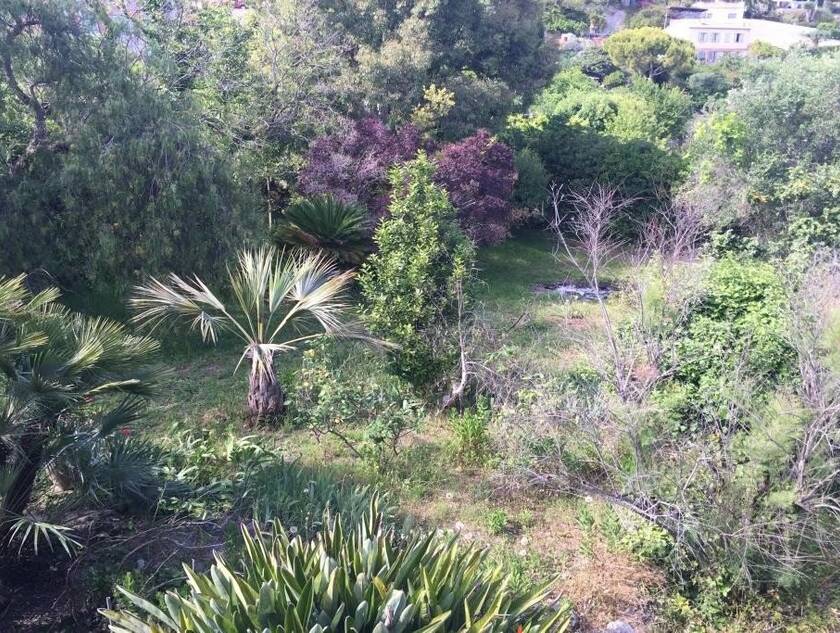 Winter Immobilier - Casa/ Villa - Vallauris - e9c3a1f4c0bb931e7fc3122f6ae17946_54d3320153_1024