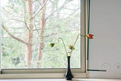 Winter Immobilier - Appartement - Nice - Fabron - Nice - 6e862b2cca26e3b845d6d2bececbdc70_4435f484e5_1080