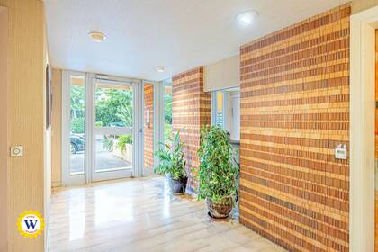 Winter Immobilier - Appartement - Golfe-Juan - ce287e912a6b348ea02b76929fe1e4e2_78287536a9_1920