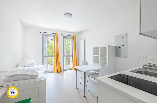 Winter Immobilier - Apartment - Nice - Pasteur - Nice - 0c5442c07bf390cf76673d06cf188383_18df12c622_4096-original