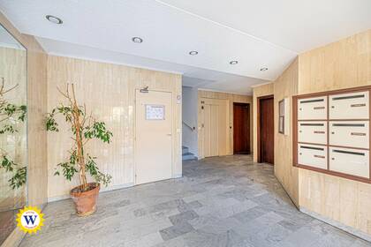 Winter Immobilier - Appartement - Nice - Cimiez - Nice - dbd2cb399a0b7260c32254137e3f4875_c38ceddc79_4096