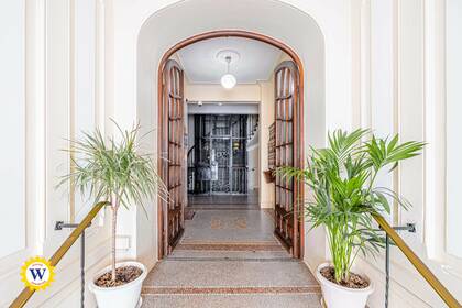 Winter Immobilier - Appartement - Nice - Fleurs Gambetta - Nice - 417ec8c0264f47bf4851829d314bbbf4_56b3221c7f_4096