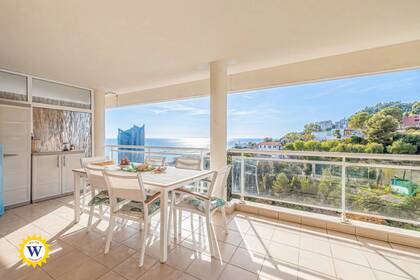 Winter Immobilier - Appartement - Beausoleil - cfaed9e41a1c5801f4686606730f1338_690be54b04_4096-original