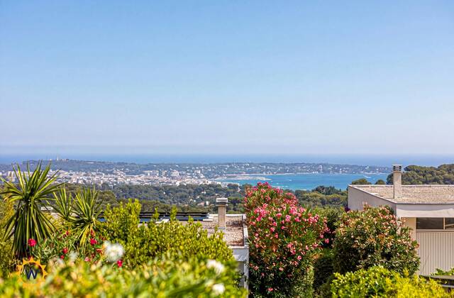 Winter Immobilier - Appartement - Vallauris - c81e6bfa829a25801056b5da084384c2_f4a2d98c85_4096
