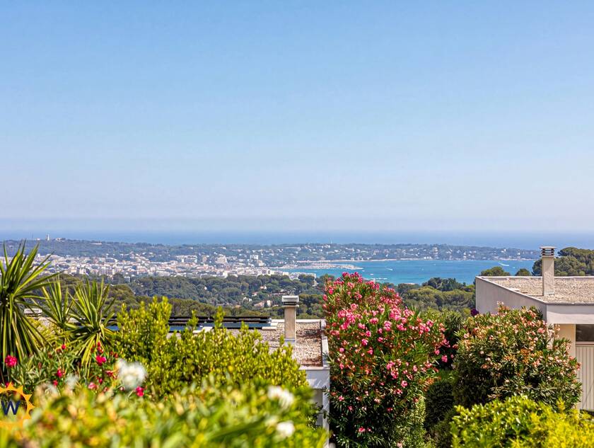 Winter Immobilier - Appartement - Vallauris - c81e6bfa829a25801056b5da084384c2_f4a2d98c85_4096