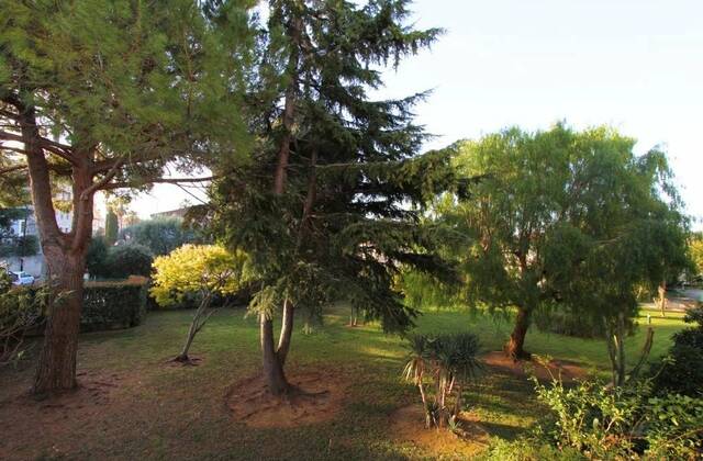 Winter Immobilier - Appartamento  - Golfe-Juan - daadf306090980880923d4fdb042ab58_64b012ede3_1024