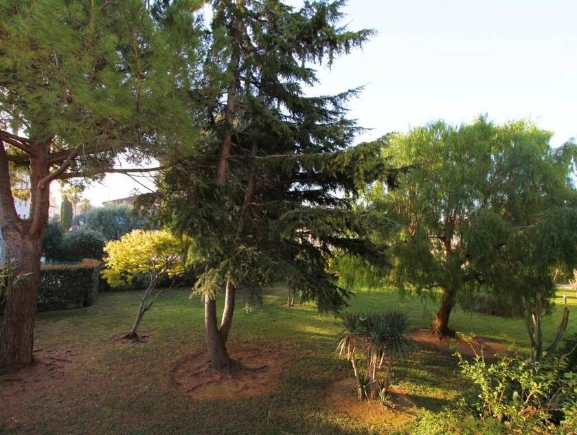 Winter Immobilier - Appartamento  - Golfe-Juan - daadf306090980880923d4fdb042ab58_64b012ede3_1024