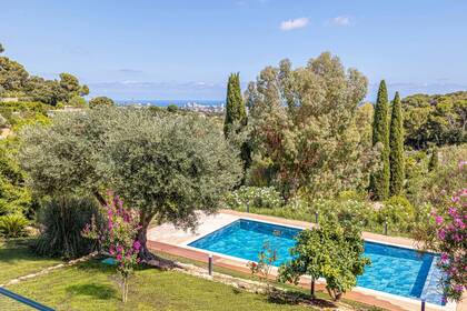 Winter Immobilier - Casa/ Villa - Golfe-Juan - 9ef0f0c2f8804d1500f513864ba6cc16_d4e7748e13_1920