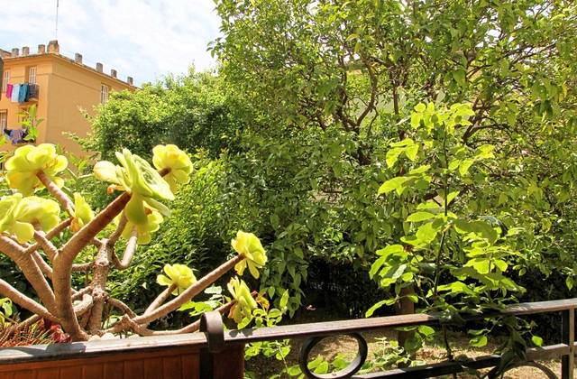 Winter Immobilier - Appartamento  - Nice Nord - Nice - 12239501525b377d63e7cf14.36220474_1920.webp-original