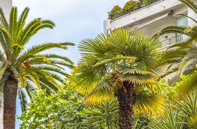 Winter Immobilier - квартира - Nice - Fleurs Gambetta - Nice - ef9352fcb93e5e5821d0d3f09449bd42_caa0e3d499_1920-original