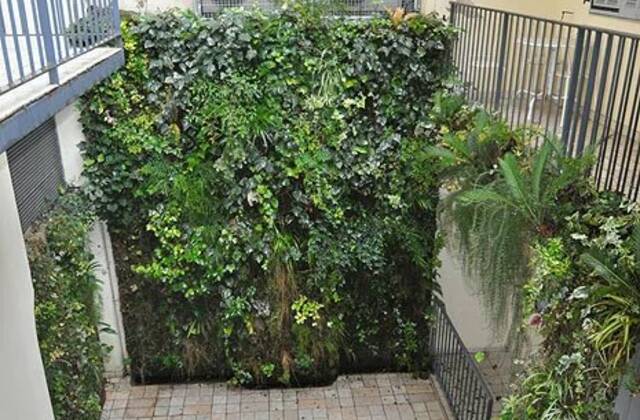 Winter Immobilier - квартира - Nice - Fleurs Gambetta - Nice - e64745d2b1bddae878f37bf67944f820_3351b8439d_700