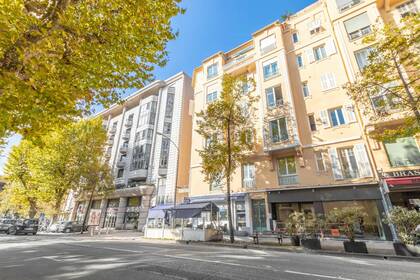 Winter Immobilier - Appartement - Nice - Fleurs Gambetta - Nice - 80d962c453d36fa562a9a8823e69ecfe_308ded0b95_1920