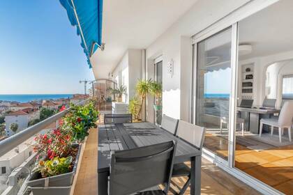 Winter Immobilier - Appartamento - Nice - Baumettes - Nice - 59f7d5dab8600802959f6701b918e72a_aaaf30496f_1920-original