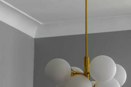 Winter Immobilier - Appartement - Nice - Fleurs Gambetta - Nice - aaf6e1556702bb87b0654363e75f97ab_15f4ba574e_1920-original