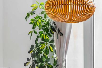 Winter Immobilier - квартира - Nice - Musiciens - Nice - 257946dc321adb2b1d88c5f43ebd650d_d097ba997c_1920