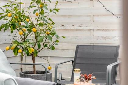 Winter Immobilier - квартира - Nice - Musiciens - Nice - d2f1169771737d859bf315cb495278d9_238df19a80_1920