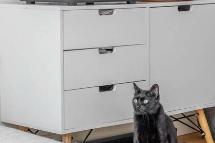 Winter Immobilier - квартира - Nice - Musiciens - Nice - cd9a01fe2553b65ddac4c151ac2714a0_14afcb04bc_1920