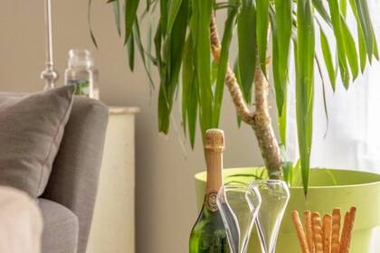 Winter Immobilier - Appartement - Nice - c08e9c4b-a99a-4893-a15d-0f294e8a40e7