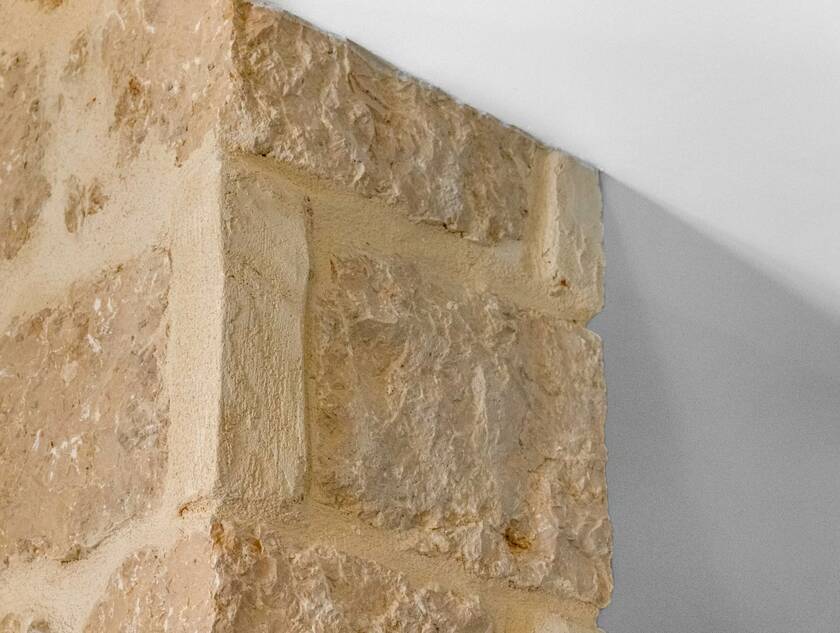 Winter Immobilier - Appartement - Nice - Fleurs Gambetta - Nice - 384e21c43652f1565a0fa48d8df25bc0_95d4f380fa_1920