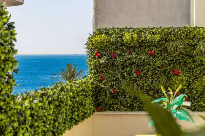 Winter Immobilier - Apartment - Nice - 31413931062e52484e85963.75083761_1920.webp-original